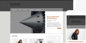 Themes Kingdom Invisi WordPress Theme 2.1.3破解版主题