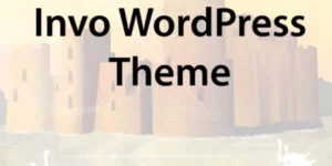 Themes Kingdom Invo WordPress Theme 2.3破解版主题