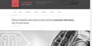 Themes Kingdom Legalized WordPress Theme 1.8破解版主题