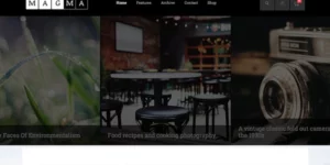 Themes Kingdom Magma WordPress Theme 1.5.3破解版主题