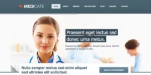 Themes Kingdom Medicate WordPress Theme 2.4破解版主题