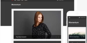 Themes Kingdom Momentum WordPress Theme 2.3.1破解版主题