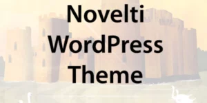 Themes Kingdom Novelti WordPress Theme 2.3.3破解版主题