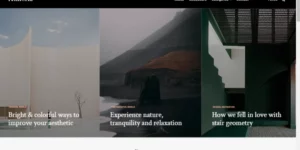 Themes Kingdom Reinform WordPress Theme 1.1.2破解版主题