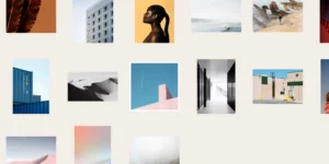 Themes Kingdom Section WordPress Theme 1.2.4破解版主题