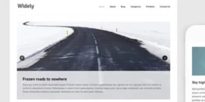 Themes Kingdom Widely WordPress Theme 2.3.1破解版主题