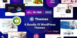 Themex Responsive Multi-Purpose WordPress Theme 1.0.0破解版主题
