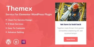 Themex Service For Elementor WordPress Plugin 1.0.1破解版插件