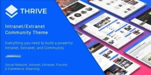 Thrive Intranet Community Theme 3.1.11破解版主题