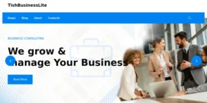 TishBusinessLite Free Corporate and Business WordPress Theme 1.0.0破解版主题