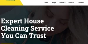 TishCleaning Cleaning Services WordPress Theme 1.0.0破解版主题