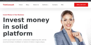 TishConsult Business and Consulting WordPress Theme 1.0.0破解版主题