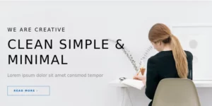 TishCreative Creative Agency WordPress Theme 1.0.0破解版主题