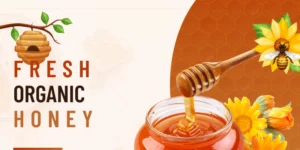 TishHoney Honey Store WordPress Theme 1.0.0破解版主题