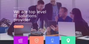 TishStartUp StartUp and Company WordPress Theme 1.0.0破解版主题