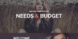 Tomi Solas WordPress Theme 1.0.0破解版主题