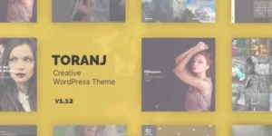 Toranj Responsive Creative WordPress Theme 1.21.0破解版主题
