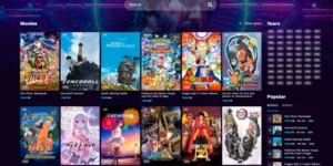 Torofilm Toro Themes 2.5.9破解版主题