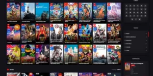 Toroflix Toro Themes 2.1破解版主题