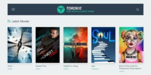 Torokie Movies and TV Shows Theme 1.0.1破解版主题