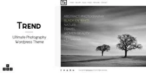 Trend Photography WordPress Theme 3.7.1破解版主题