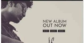 Tune Premium WordPress Theme 1.01破解版主题