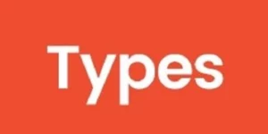 Types Access 2.8.16破解版插件