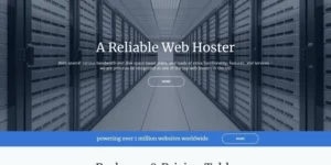 Uptime99 Web Hosting WordPress Theme 1.0.0破解版主题