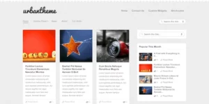 Urban Grid-Style Magazine WordPress Theme 1.1.0破解版主题