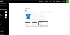 Variation Price Display For WooCommerce Pro By WPXpress 1.1.5破解版插件