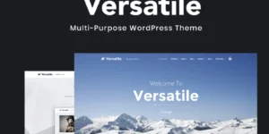 Versatile Multi-purpose WordPress Theme 1.4.6破解版主题