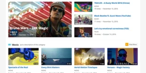 VideoNow Pro 1.9破解版主题