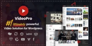 VideoPro 2.3.8.3破解版主题