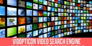 Vidopticon Video Search Engine Plugin for WordPress 1.0.5.1破解版插件