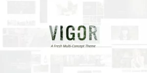 Vigor – Vintage WordPress Theme 3.3破解版主题