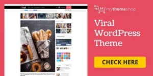 Viral WordPress Theme For Social Media Marketers 1.1.4破解版主题