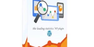 Visitor Traffic Real Time Statistics Pro For WordPress 10.4破解版插件