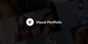 Visual Portfolio Pro 1.11.0破解版插件
