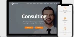 VisualModo Financial Theme 2.0.2破解版主题
