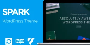 VisualModo Spark WordPress Theme 6.0.2破解版主题