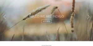 Viva Themes Indigo WordPress Theme 2.2破解版主题