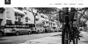 Viva Themes Kimbo WordPress Theme 4.2破解版主题