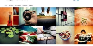 Viva Themes L Image WordPress Theme 3.0.0破解版主题