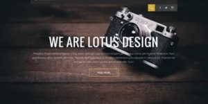 Viva Themes Lotus WordPress Theme 1.1破解版主题
