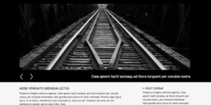 Viva Themes Method WordPress Theme 1.1.0破解版主题