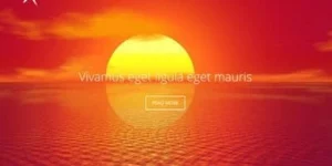 Viva Themes Pulse WordPress Theme 1.1.0破解版主题