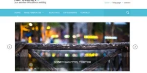 Viva Themes Republica WordPress Theme 4.0.0破解版主题