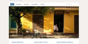 Viva Themes Revival WordPress Theme 4.1破解版主题