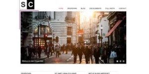 Viva Themes Space Color WordPress Theme 3.1破解版主题