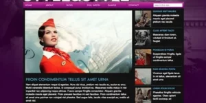 Viva Themes Styled WordPress Theme 2.3破解版主题